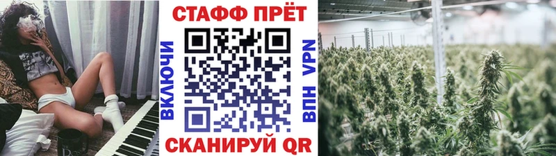 Псилоцибиновые грибы Мосальск
