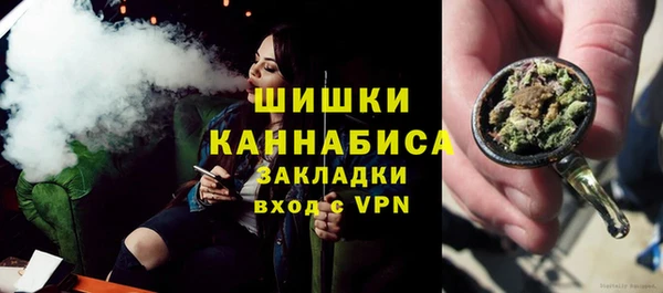 PSILOCYBIN Липки