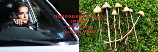PSILOCYBIN Липки