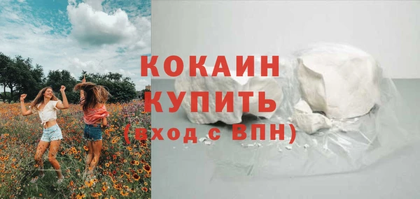 шишки Лихославль