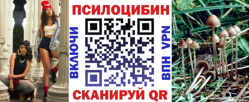 Псилоцибиновые грибы прущие грибы Мосальск